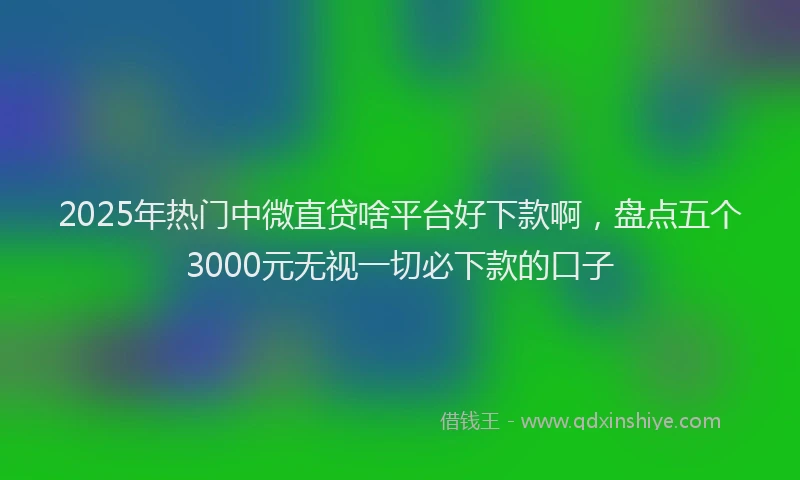 2025年热门中微直贷啥平台好下款啊，盘点五个3000元无视一切必下款的口子