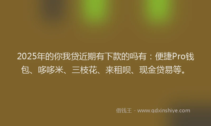 2025年的你我贷近期有下款的吗有：便捷Pro钱包、哆哆米、三枝花、来租呗、现金贷易等。