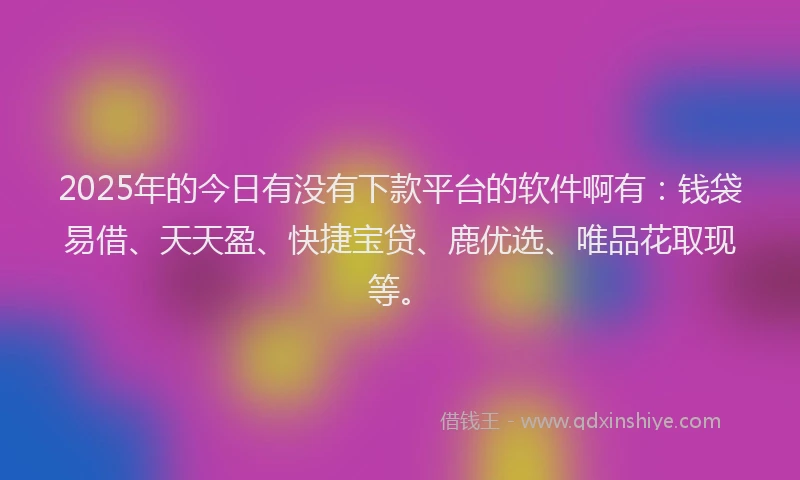 2025年的今日有没有下款平台的软件啊有：钱袋易借、天天盈、快捷宝贷、鹿优选、唯品花取现等。