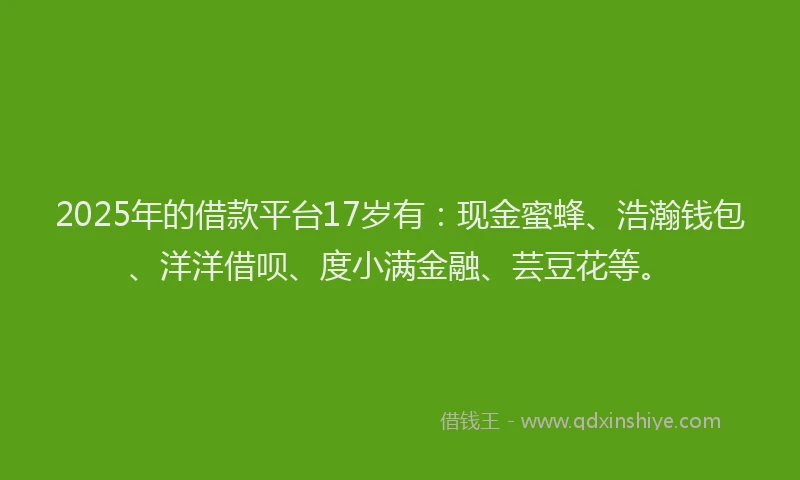 2025年的借款平台17岁有：现金蜜蜂、浩瀚钱包、洋洋借呗、度小满金融、芸豆花等。