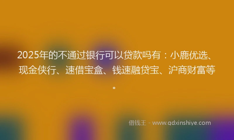 2025年的不通过银行可以贷款吗有：小鹿优选、现金侠行、速借宝盒、钱速融贷宝、沪商财富等。