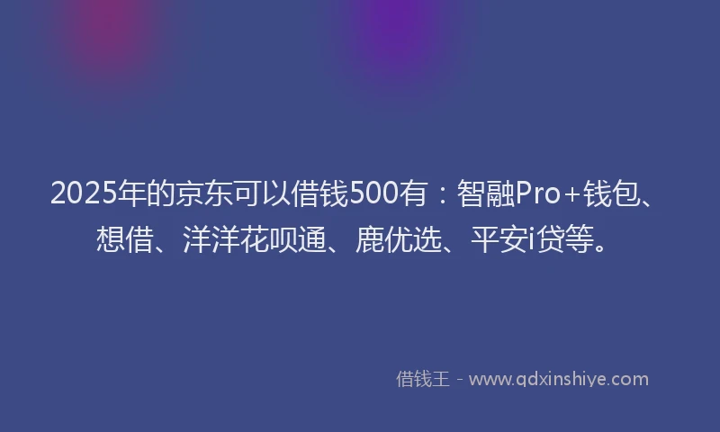 2025年的京东可以借钱500有：智融Pro+钱包、想借、洋洋花呗通、鹿优选、平安i贷等。