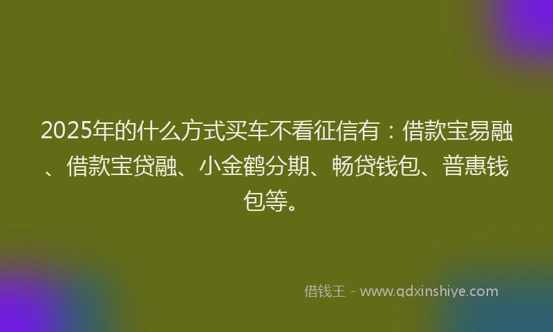 2025年的什么方式买车不看征信有：借款宝易融、借款宝贷融、小金鹤分期、畅贷钱包、普惠钱包等。