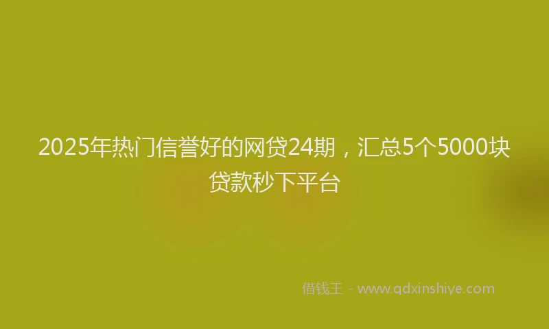 2025年热门信誉好的网贷24期，汇总5个5000块贷款秒下平台