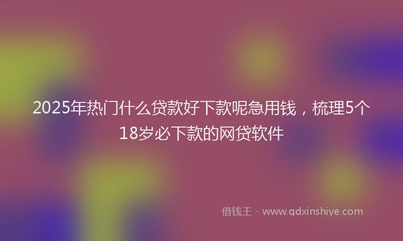 2025年热门什么贷款好下款呢急用钱，梳理5个18岁必下款的网贷软件
