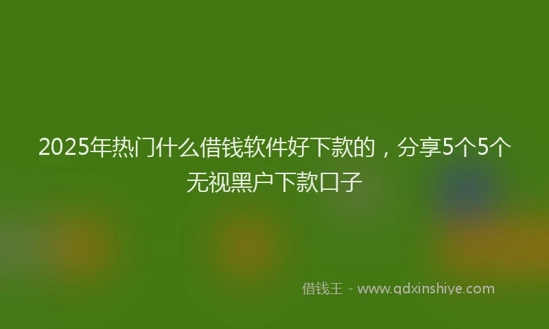 2025年热门什么借钱软件好下款的，分享5个5个无视黑户下款口子