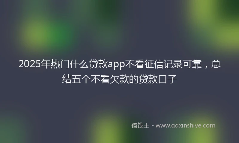 2025年热门什么贷款app不看征信记录可靠，总结五个不看欠款的贷款口子