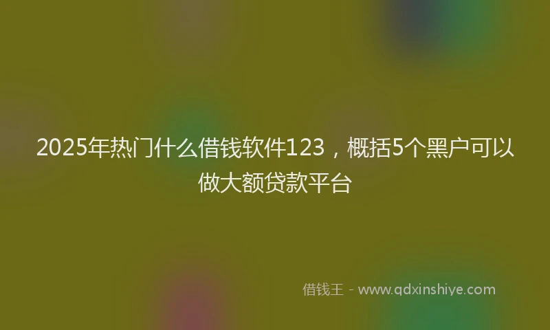2025年热门什么借钱软件123，概括5个黑户可以做大额贷款平台