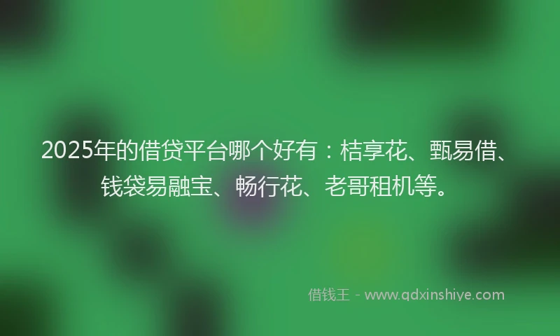 2025年的借贷平台哪个好有：桔享花、甄易借、钱袋易融宝、畅行花、老哥租机等。