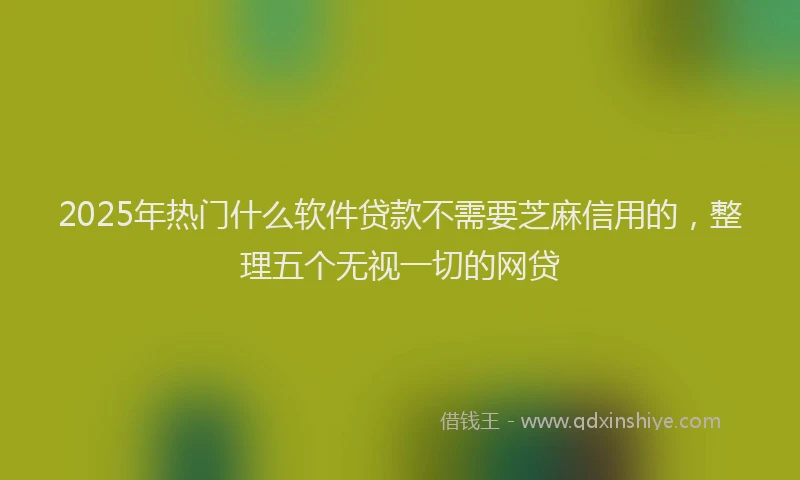 2025年热门什么软件贷款不需要芝麻信用的，整理五个无视一切的网贷