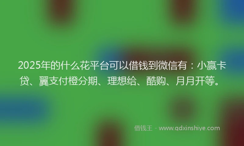 2025年的什么花平台可以借钱到微信有：小赢卡贷、翼支付橙分期、理想给、酷购、月月开等。