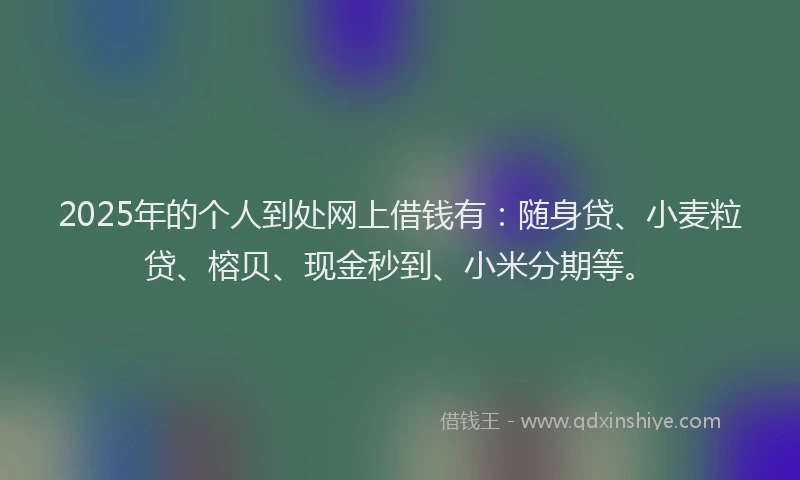 2025年的个人到处网上借钱有：随身贷、小麦粒贷、榕贝、现金秒到、小米分期等。