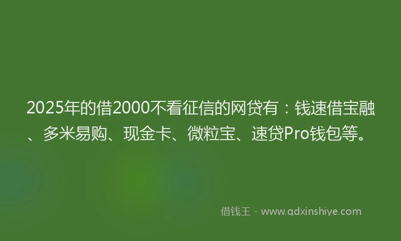 2025年的借2000不看征信的网贷有：钱速借宝融、多米易购、现金卡、微粒宝、速贷Pro钱包等。