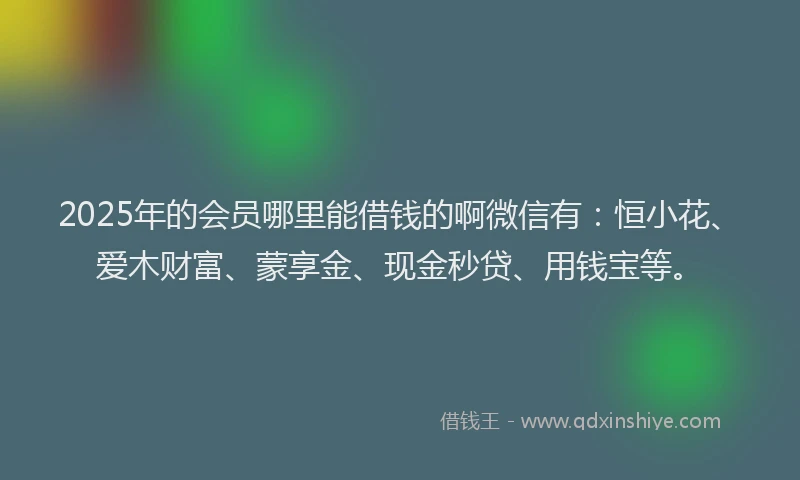 2025年的会员哪里能借钱的啊微信有：恒小花、爱木财富、蒙享金、现金秒贷、用钱宝等。