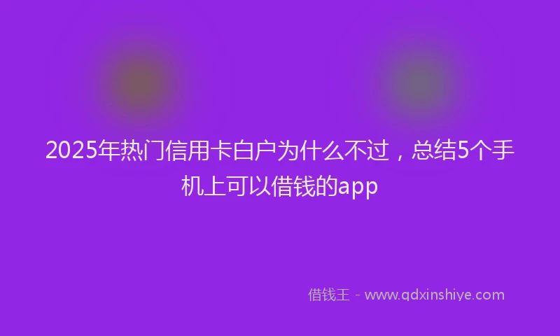 2025年热门信用卡白户为什么不过，总结5个手机上可以借钱的app