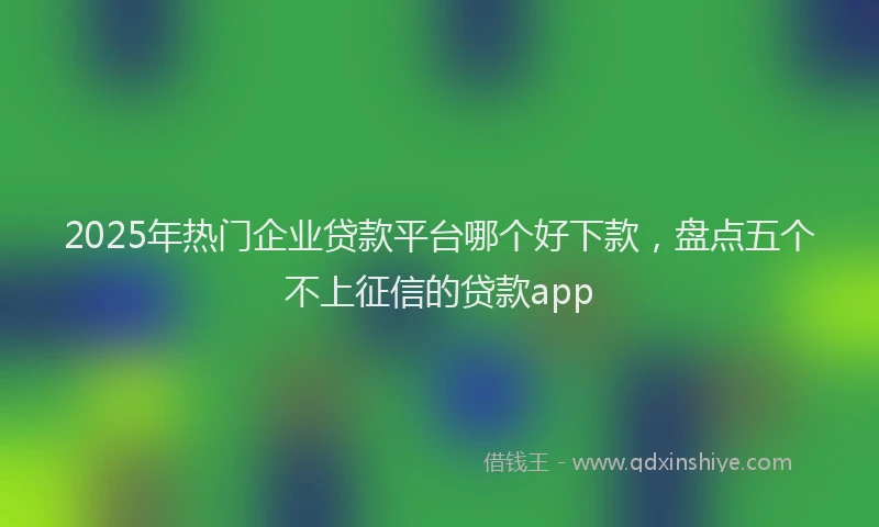 2025年热门企业贷款平台哪个好下款，盘点五个不上征信的贷款app
