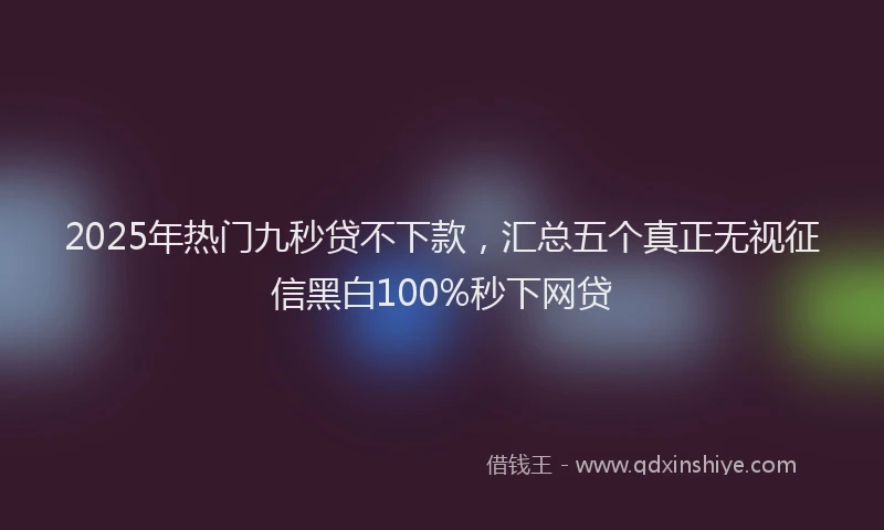 2025年热门九秒贷不下款，汇总五个真正无视征信黑白100%秒下网贷