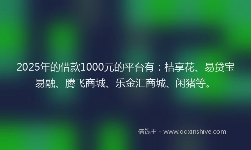 2025年的借款1000元的平台有：桔享花、易贷宝易融、腾飞商城、乐金汇商城、闲猪等。