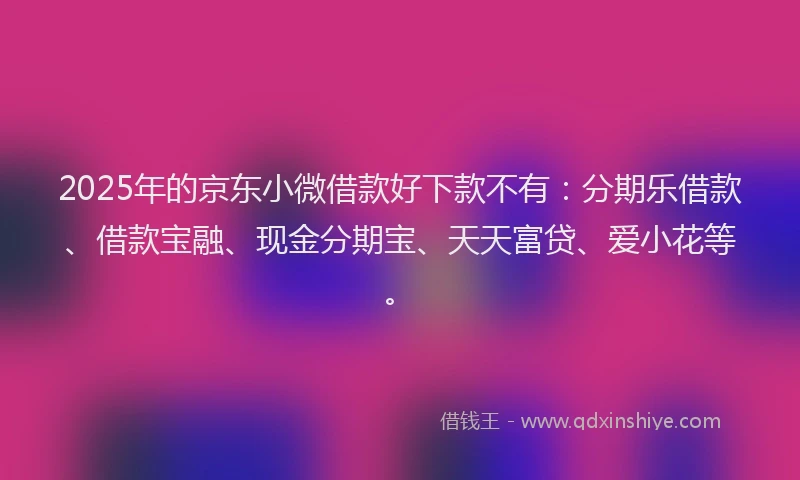 2025年的京东小微借款好下款不有：分期乐借款、借款宝融、现金分期宝、天天富贷、爱小花等。