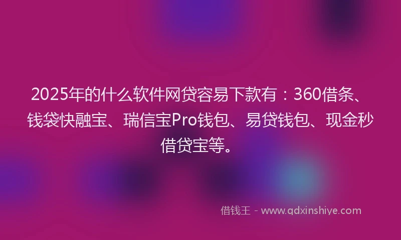 2025年的什么软件网贷容易下款有：360借条、钱袋快融宝、瑞信宝Pro钱包、易贷钱包、现金秒借贷宝等。