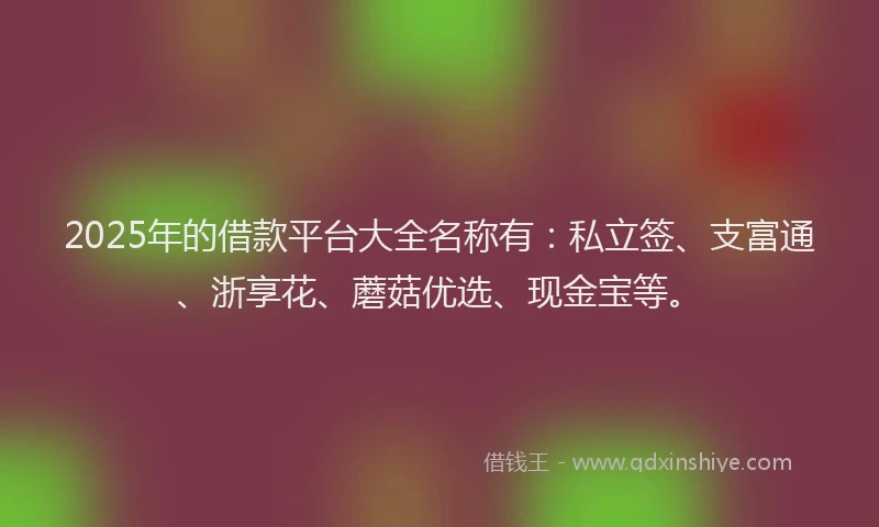 2025年的借款平台大全名称有：私立签、支富通、浙享花、蘑菇优选、现金宝等。