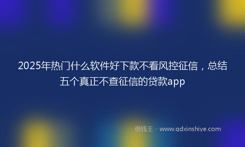 2025年热门什么软件好下款不看风控征信，总结五个真正不查征信的贷款app