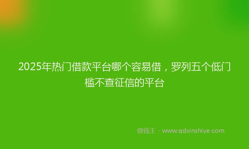 2025年热门借款平台哪个容易借，罗列五个低门槛不查征信的平台
