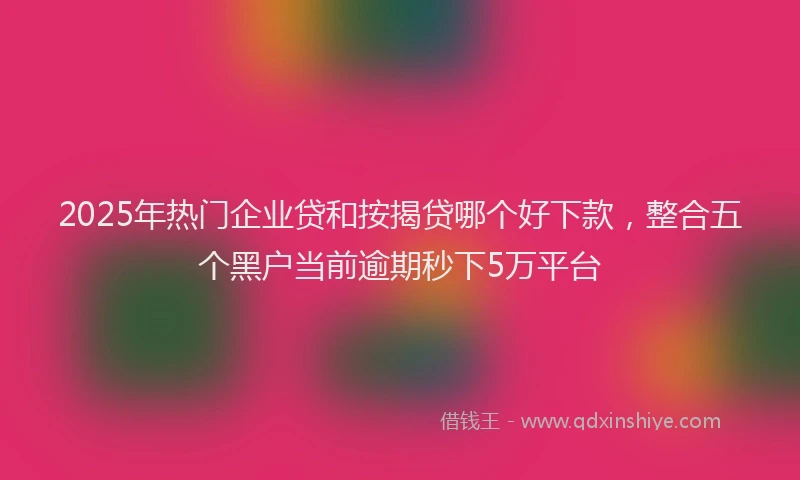 2025年热门企业贷和按揭贷哪个好下款，整合五个黑户当前逾期秒下5万平台