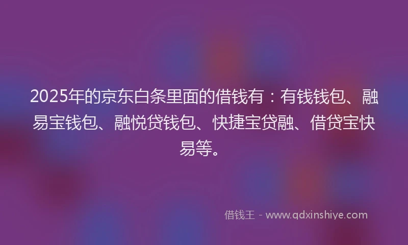 2025年的京东白条里面的借钱有：有钱钱包、融易宝钱包、融悦贷钱包、快捷宝贷融、借贷宝快易等。