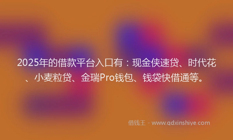 2025年的借款平台入口有：现金侠速贷、时代花、小麦粒贷、金瑞Pro钱包、钱袋快借通等。