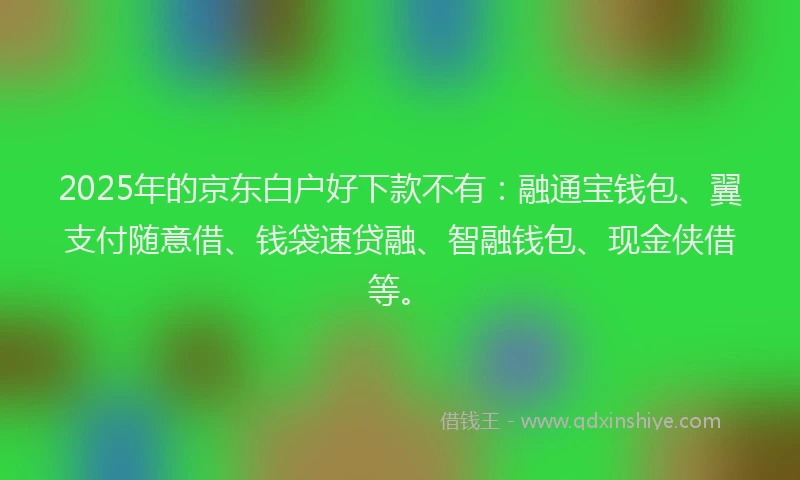 2025年的京东白户好下款不有：融通宝钱包、翼支付随意借、钱袋速贷融、智融钱包、现金侠借等。