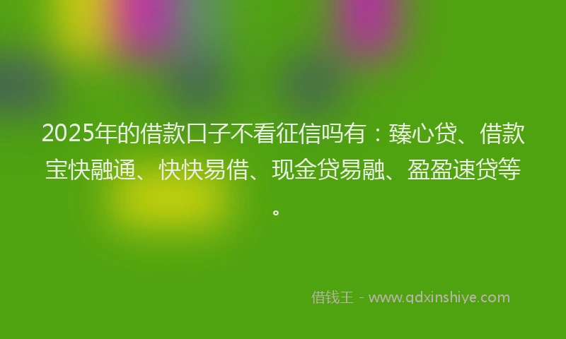 2025年的借款口子不看征信吗有：臻心贷、借款宝快融通、快快易借、现金贷易融、盈盈速贷等。