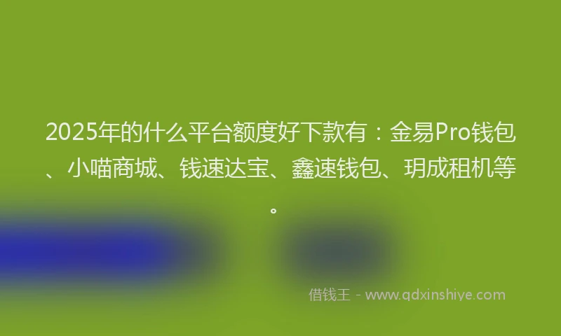 2025年的什么平台额度好下款有：金易Pro钱包、小喵商城、钱速达宝、鑫速钱包、玥成租机等。