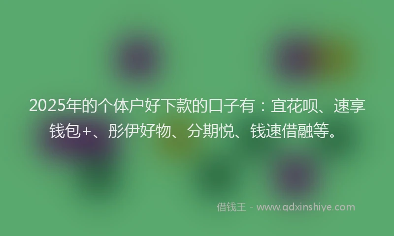 2025年的个体户好下款的口子有：宜花呗、速享钱包+、彤伊好物、分期悦、钱速借融等。