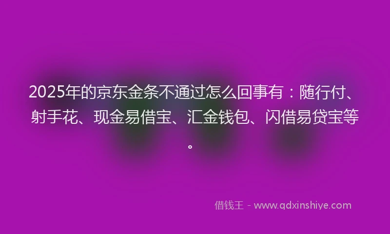 2025年的京东金条不通过怎么回事有：随行付、射手花、现金易借宝、汇金钱包、闪借易贷宝等。