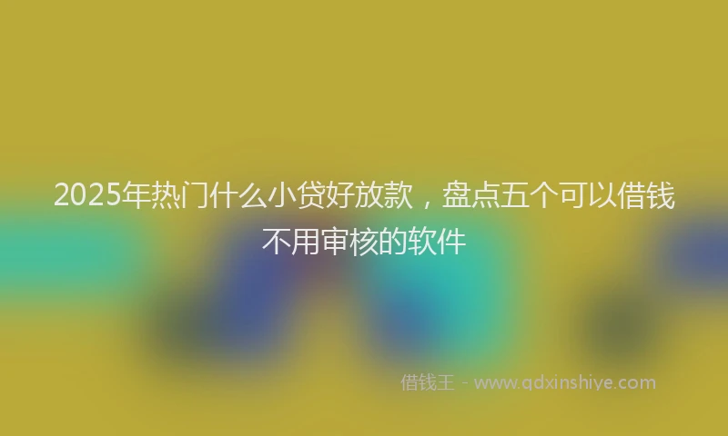 2025年热门什么小贷好放款，盘点五个可以借钱不用审核的软件