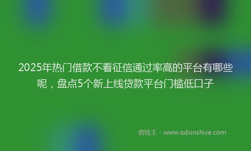 2025年热门借款不看征信通过率高的平台有哪些呢，盘点5个新上线贷款平台门槛低口子