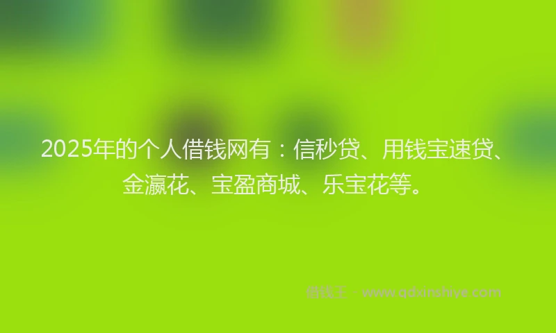 2025年的个人借钱网有：信秒贷、用钱宝速贷、金瀛花、宝盈商城、乐宝花等。