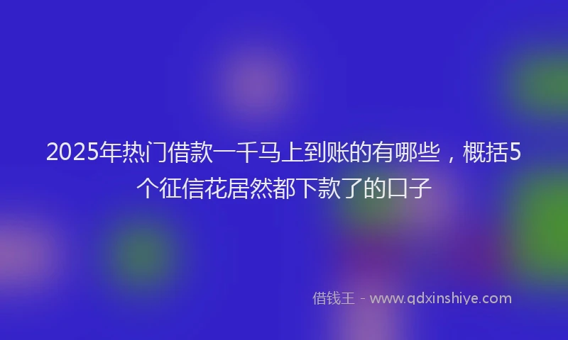2025年热门借款一千马上到账的有哪些，概括5个征信花居然都下款了的口子