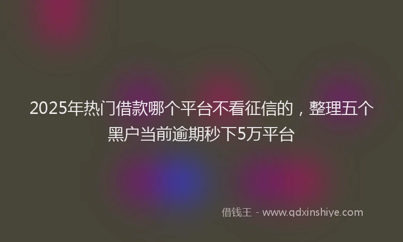 2025年热门借款哪个平台不看征信的，整理五个黑户当前逾期秒下5万平台