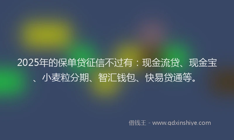 2025年的保单贷征信不过有：现金流贷、现金宝、小麦粒分期、智汇钱包、快易贷通等。