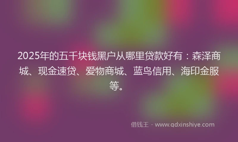 2025年的五千块钱黑户从哪里贷款好有：森泽商城、现金速贷、爱物商城、蓝鸟信用、海印金服等。