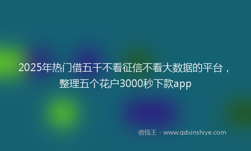 2025年热门借五千不看征信不看大数据的平台，整理五个花户3000秒下款app