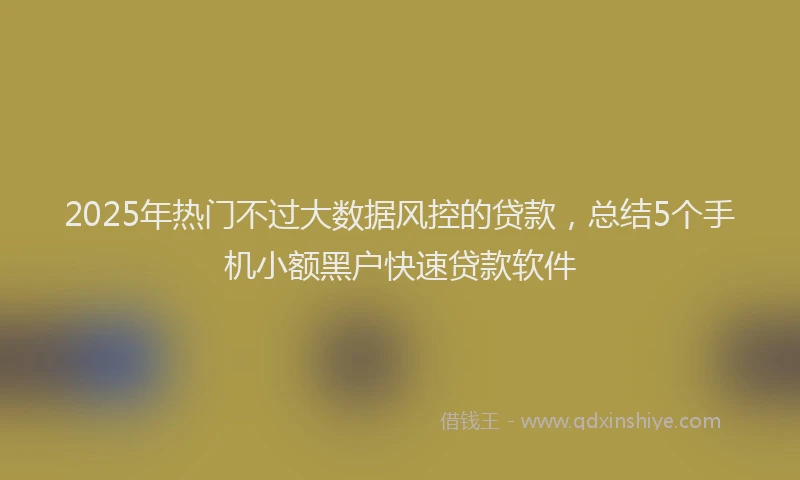 2025年热门不过大数据风控的贷款，总结5个手机小额黑户快速贷款软件