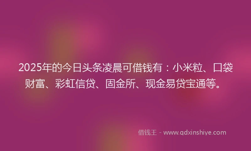 2025年的今日头条凌晨可借钱有：小米粒、口袋财富、彩虹信贷、固金所、现金易贷宝通等。