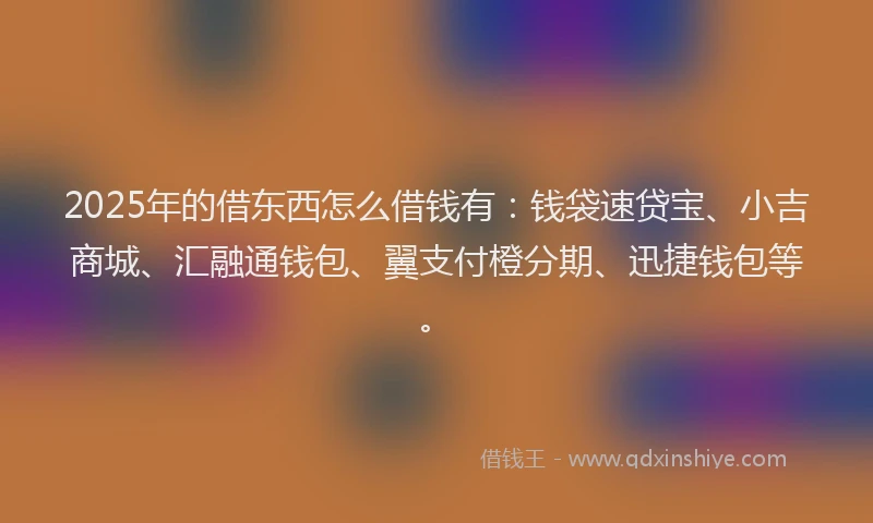 2025年的借东西怎么借钱有：钱袋速贷宝、小吉商城、汇融通钱包、翼支付橙分期、迅捷钱包等。