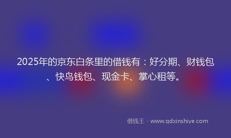2025年的京东白条里的借钱有：好分期、财钱包、快鸟钱包、现金卡、掌心租等。