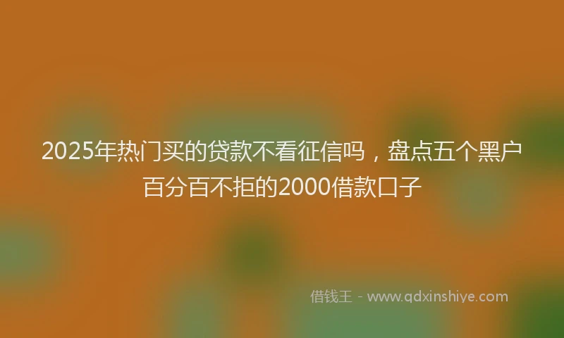 2025年热门买的贷款不看征信吗，盘点五个黑户百分百不拒的2000借款口子