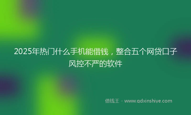 2025年热门什么手机能借钱，整合五个网贷口子风控不严的软件