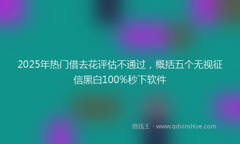 2025年热门借去花评估不通过，概括五个无视征信黑白100%秒下软件
